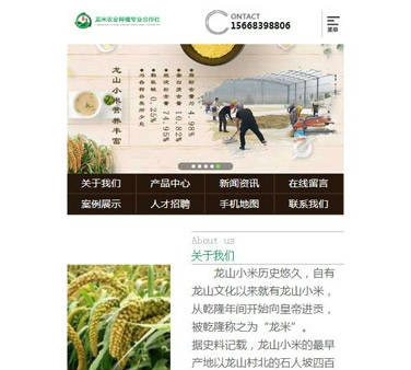 长春市市章丘区龙米农业种植专业合作社
